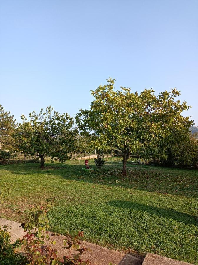 Apartman Biba Labin  Exterior foto